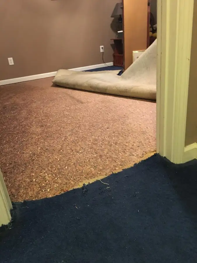 Carpet pad removal revealing water damage during Drying & Dehumidification in Morristown