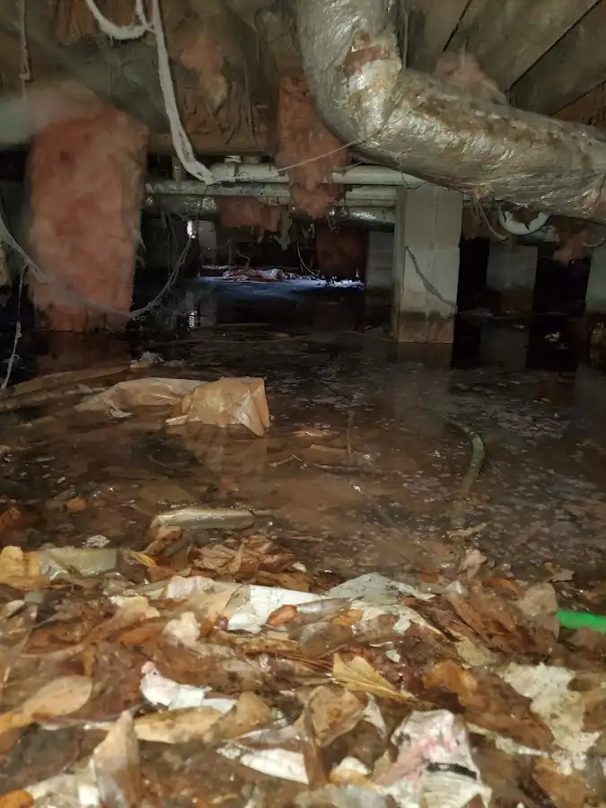 Crawl space flood assessment for Leak Detection & Repair in Morristown